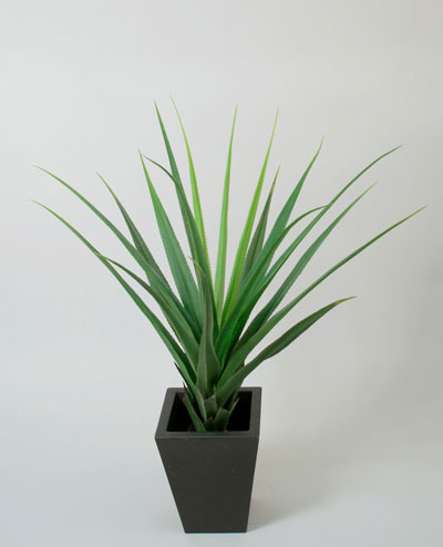 1051-095 Agave 90cm, 1051-130 Agave 140cm